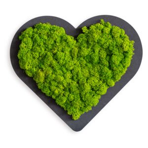 Piktogram Srdce zelené
