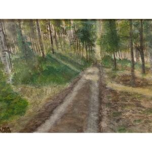 Ručně malovaný obraz massimo osio - Foresta e raggi di sole