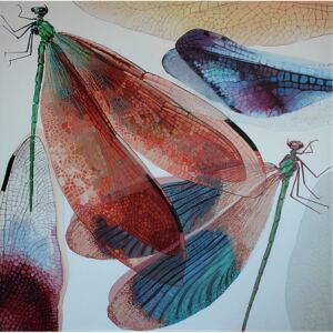 Ručně malovaný obraz Monika Korpak - Dragonflies II