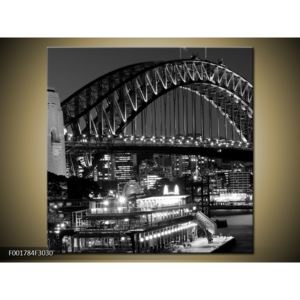 Černobílý obraz - Harbour Bridge (F001784F3030)