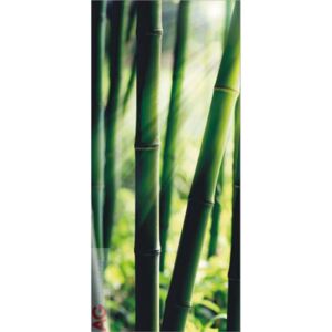 Fototapeta vliesová jednodílná Bambus