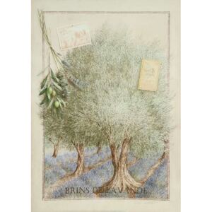 ART-STYLE Obrázek 30x40, levandule mezi stromy, rám sv. dub - červotoč