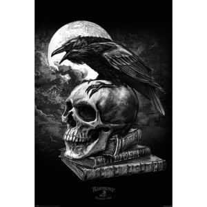 Pyramid International Plakát Alchemy - Poe s Raven
