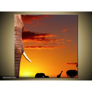 Obraz slona v pozadí s černobílými siluetami (30x30 cm)