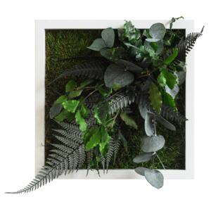 Rostlinný obraz s designem Džungle 22x22