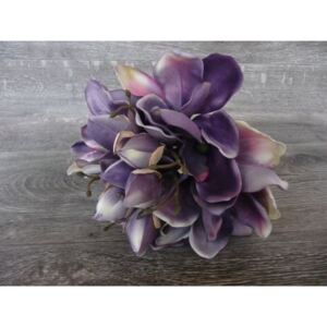 Magnolie kytice - tmavě fialová*
