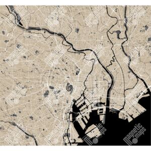 Magnetická mapa Tokia, ilustrovaná, béžová (samolepící feretická fólie) 71 x 66 cm