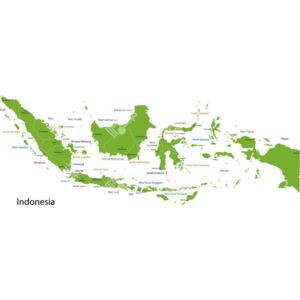 Magnetická mapa Indonesie, politická, zelená (samolepící feretická fólie) 181 x 66 cm