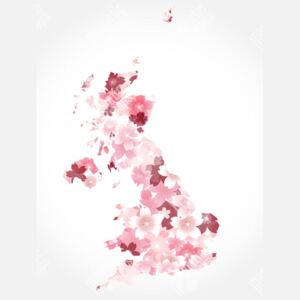 Magnetická mapa Anglie, ilustrovaná, růžová (samolepící feretická fólie) 66 x 66 cm
