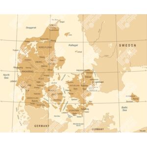 Magnetická mapa Dánska, vintage, hnědá (samolepící feretická fólie) 83 x 66 cm