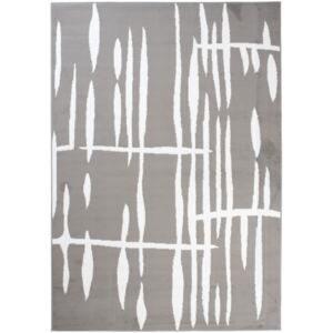 Kusový koberec PP Kiara šedý, Velikosti 120x170cm