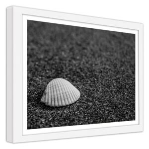 CARO Obraz v rámu - A Seashell On The Sand 50x40 cm Bílá