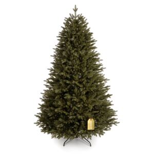 Vánoční stromeček Smrk Kanadský 100 % 250 cm