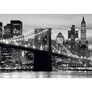 Fototapeta AG Brooklynský most FTNS-2465 | 360x270 cm