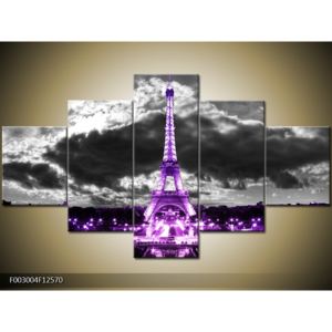 Obraz noční Eiffelovy věže v Paříži (F003004F12570)