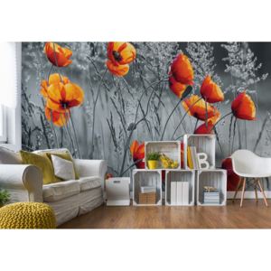 Fototapeta - Orange Poppies Black And White Vliesová tapeta - 206x275 cm