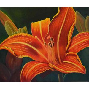 Ručně malovaný obraz Romana Večeřová - Oranžová lilie