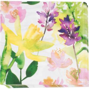 Narsissi ubrousky - vícebarevná