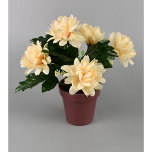 Umělá květina Chrysantéma v květináči 16 x 14 cm, krémová