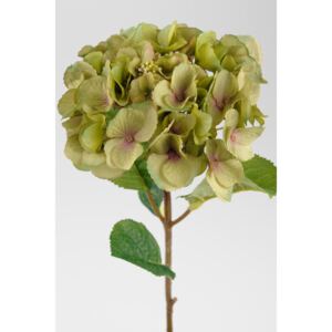 Animadecor Umělá květina - Hortenzie zelenkavá