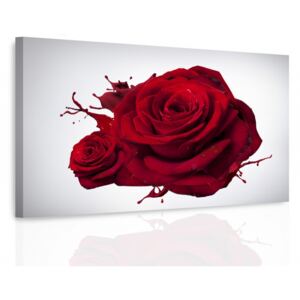 Obraz rudá růže + háčky, hřebíčky, čistící hadřík ZDARMA Velikost (šířka x výška): 90x60 cm