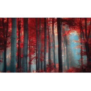 Rohožka - Forest, 45x75 cm