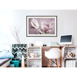 Plakát v rámu - Pastelové tulipány I. - Pastel Tulips I 30x20 Černý rám s passe-partout