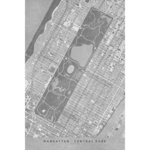 Ilustrace Map of Manhattan Central Park in gray vintage style, Blursbyai