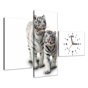 Obraz s hodinami Bílé tygry 100x70cm ZP1270A_3AW