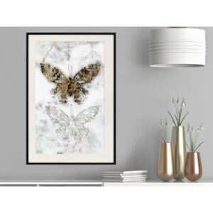 Plakát v rámu - Fosílie motýlů - Butterfly Fossils 20x30 Černý rám s passe-partout