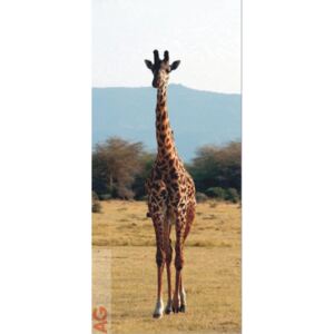 Vliesová fototapeta Žirafa v savaně FTNV-2846 | 90x202 cm