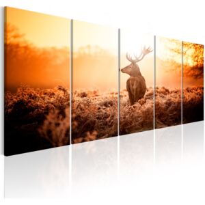 Pětidílný obraz jelen + háčky a hřebíčky ZDARMA Velikost (šířka x výška): 150x60 cm