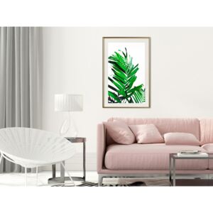 Plakát v rámu - Smaragdová palma - Emerald Palm 30x45 Zlatý rám s passe-partout