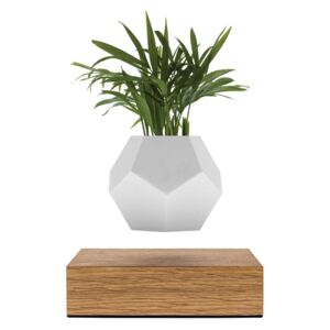 Levitující květináč Flyte Lyfe Planter