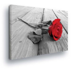 Obraz na plátně - Rudá Růže 100x75 cm