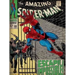 Obraz na plátně: The Amazing Spider-man (Escape Impossible) - 75x100 cm