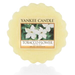 Yankee Candle - vonný vosk Tobacco Flower 22g (Kořeněně sladká dřevitá vůně tabákového květu. Okrasný tabák je půvabná letnička, jejíž květy vydávají večer kouzelnou, do daleka se táhnoucí vůni.)