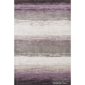 Moderní kusový koberec Mondo 31LBL | fialový Typ: 120x170 cm