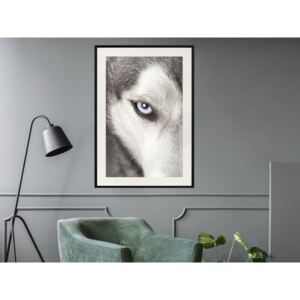 Plakát v rámu - Azurové oko - Azure Eye 40x60 Černý rám s passe-partout