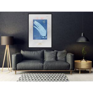 Plakát v rámu - Modrotisk řasy - Alga Cyanotype 40x60 Černý rám