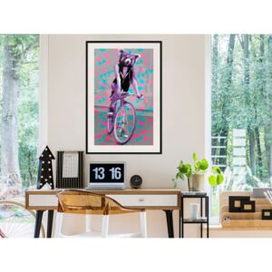 Plakát v rámu - Zvláštní cyklista - Extraordinary Cyclist 20x30 Černý rám s passe-partout