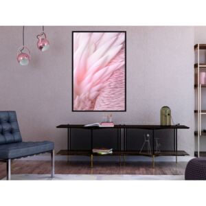 Plakát v rámu - Růžové peří - Pink Feathers 20x30 Černý rám