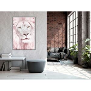 Plakát v rámu - Zasněný lev - Dreamy Lion 20x30 Černý rám