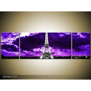 Obraz Eiffelovy věže v Paříži (F003006F17050)