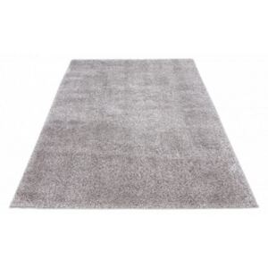 Vopi Kusový koberec Emilia 250 silver 80 x 150 cm