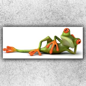 Žabka (150 x 60 cm) - Jednodílný obraz