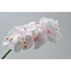 Silk-ka Orchidej Vanda sv.růžová 89 cm