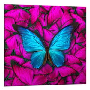 Obraz na skle Styler - Red Butterfly | Rozměry: 20x20 cm