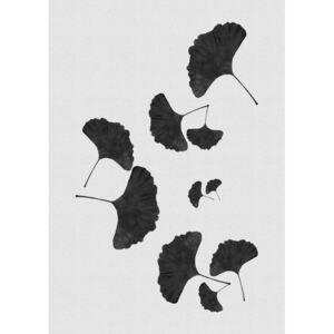 Ilustrace Ginkgo Leaf Black & White I, Orara Studio