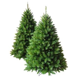 Stromek Oregon Pine 90 cm